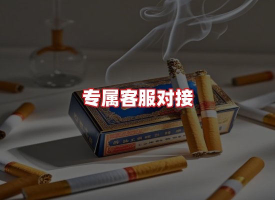专业团队